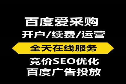 低成本高回报：百度竞价代理成功案例分析